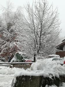 ピンツォーロにあるCasa nel verdeの雪に覆われた木の庭