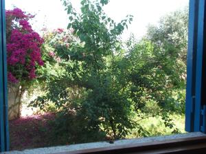 Kebun di luar Le jardin d'habiba