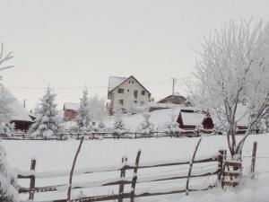 希爾內亞的住宿－MonteCrai，雪覆盖的农场,围栏和房子