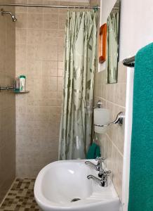 a bathroom with a sink and a shower curtain at La Bella B&B Under The Fig Tree in Bela-Bela