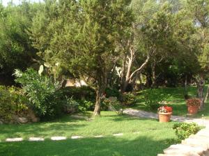 un jardín con árboles, césped verde y plantas en Sa Jaga Brujada Residence - Simar Vacanze en Porto Rotondo