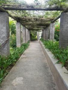 a walkway through a garden with a pergola at Ufulu Gardens Hotel in Lilongwe