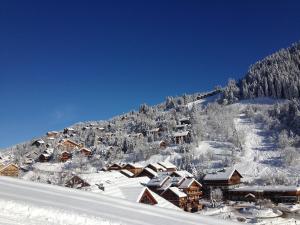 ブリッド・レ・バンにあるResidence Cybele "Grand Confort" 2の雪に覆われた山のスキー場