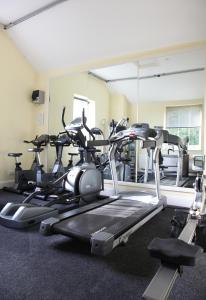 Fitness centrum a/nebo fitness zařízení v ubytování Trenython Manor Resort