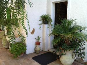 Zahrada ubytování La Pergola B&B