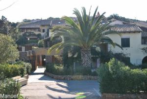 a palm tree in front of a house at Rotondo Residence - Simar Vacanze in Porto Rotondo