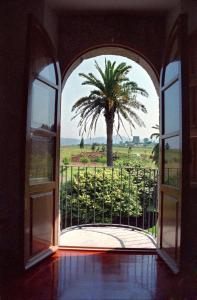 Zahrada ubytování Finca Galea