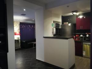 a kitchen with a refrigerator and a counter in a room at Hotel du Globe 18 in Paris