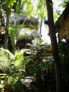 un jardin avec des arbres et des plantes et un bâtiment dans l'établissement Castillo Oasis, à Zipolite