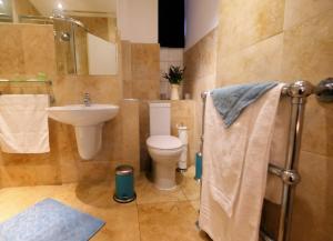 a bathroom with a toilet and a sink and a shower at Finchley Apartment in London