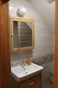 Kylpyhuone majoituspaikassa Vdovič Guest House