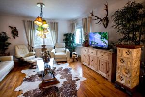 a living room with a couch and a tv at Gite Chez Mimie in Breitenbach-Haut-Rhin