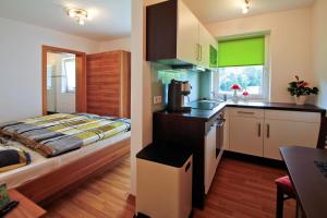 a kitchen and a bedroom with a bed in a room at Haus Bergsonne in Flachau