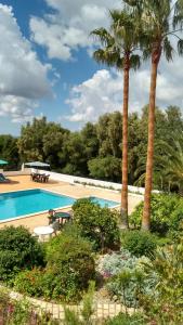 - une piscine avec 2 palmiers et une table de pique-nique dans l'établissement Feliz Apartments, à São Bartolomeu de Messines
