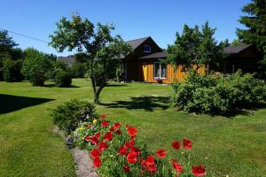 a yard with red flowers and a house at Kelluka Holiday House in Pärispea