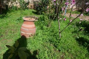 Kebun di luar Le jardin d'habiba