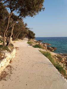 a dirt road next to the ocean with trees at Apartments Bambi in Lun