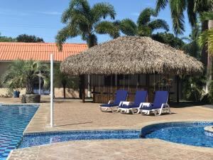 two blue lounge chairs and a hut with a swimming pool at Studio Unit in Beautiful Resort in El Mangote