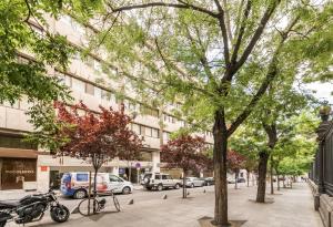 eine Stadtstraße mit Bäumen und geparkten Motorrädern in der Unterkunft Recoletos in Madrid