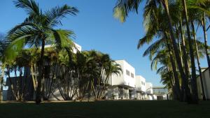 a group of palm trees in front of a building at Xenon Motel (Adult Only) in Criciúma
