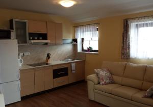 Kuchyň nebo kuchyňský kout v ubytování Apartmány Lucie