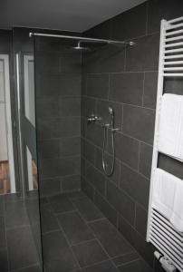 een douche met een glazen deur in een badkamer bij Bedroom in Neurenberg