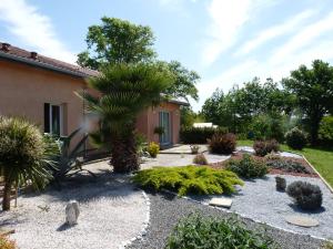 a garden with a palm tree and some plants at Chambre Bel Air in Pimbo