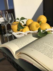 ein offenes Buch auf einem Tisch mit Zitronen drauf in der Unterkunft B&B room86 in San Vito lo Capo