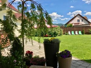 einen Garten mit zwei großen Blumentöpfen im Hof in der Unterkunft Dom V Zahrade in Turčianske Teplice