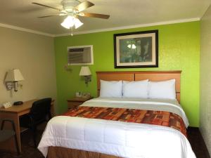 a bedroom with a bed with a green wall at Copa Motel in Kingman