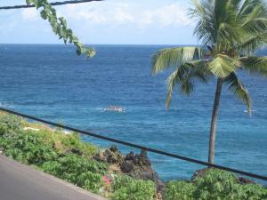 a palm tree and the ocean with a boat in the water at Farida Lodge in Moroni