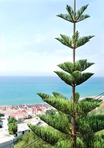 un árbol en una colina con el océano en el fondo en Villa Sunset, en Paralia Vrachou