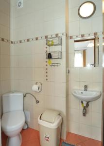 科尔别卢夫Dom w Górach Agro Zibi z zewnętrzną banią z jacuzzi的带马桶和水槽的浴室