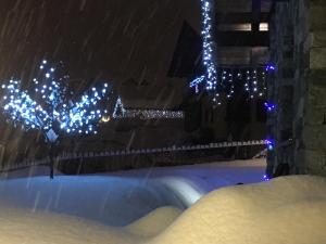 Appartamento Fleur Des Neiges v zime