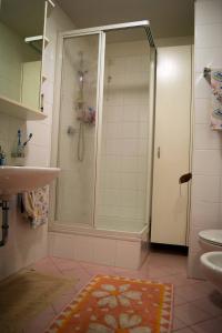 ein Bad mit einer Dusche und einem Waschbecken in der Unterkunft Appartamento MaVi in Vals