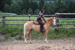ein kleines Kind reitet auf einem Pferd vor einem Zaun in der Unterkunft Niederhaeusererhof in Pfalzen
