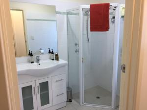 ein Badezimmer mit einem weißen Waschbecken und einer Dusche in der Unterkunft Lyreen's Apartment in Auburn