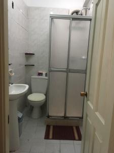 La salle de bains est pourvue de toilettes et d'un lavabo. dans l'établissement Linda Casa Acogedora, à Tarija