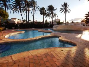 ein Swimmingpool mit Palmen im Hintergrund in der Unterkunft Estudio el Retiro in Denia