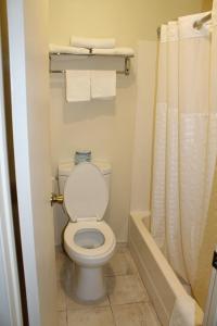 a bathroom with a white toilet and a shower at Travelodge by Wyndham Buena Park in Buena Park