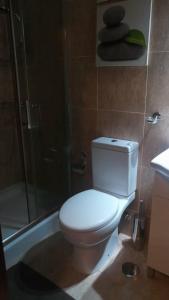 a bathroom with a toilet and a shower at Domus Bracari in Braga