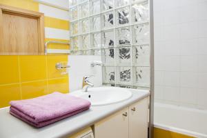 a bathroom with a sink and a bath tub at Giedre Apartments - Taikos in Kaunas