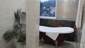 a bathroom with a bath tub and a potted plant at Tea Hills Bungalow in Hatton