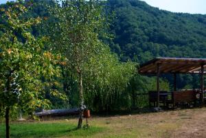 un tavolo da picnic e un albero in un campo di La Sereta a Busalla