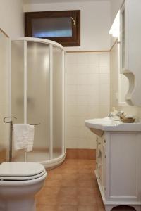 a bathroom with a shower and a toilet and a sink at Agriturismo Valle Galfina in Linguaglossa