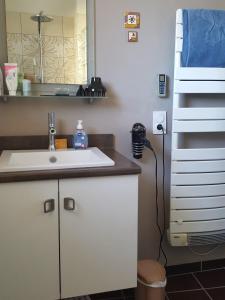 baño con lavabo y litera en chambre chez l'habitant en Céret