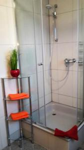 uma casa de banho com um chuveiro e duas prateleiras com uma planta em Haus Wiesenblick em Boltenhagen