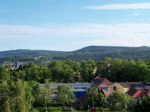 miasto z drzewami i góra w tle w obiekcie Willa Górski Widok w Polanicy Zdroju