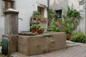 Vonkajšia záhrada v ubytovaní Casetta Villa