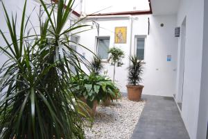Ogród w obiekcie Casas y Patios de Sevilla